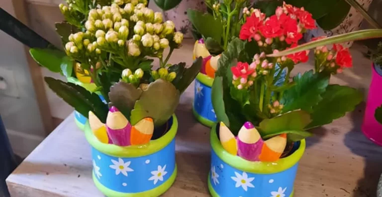 Le Petit Mont Fleuri Fleuriste A Mamers Actualites 2