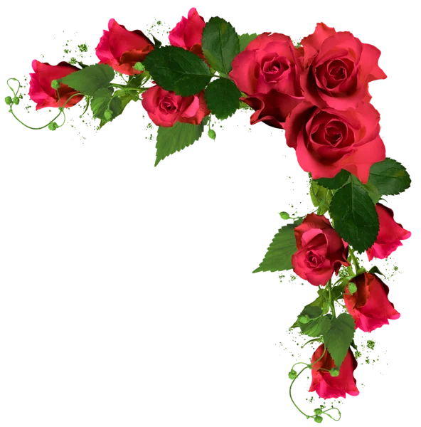 Le Petit Mont Fleuri Fleuriste A Mamers Suivez Moi Sur Facebook